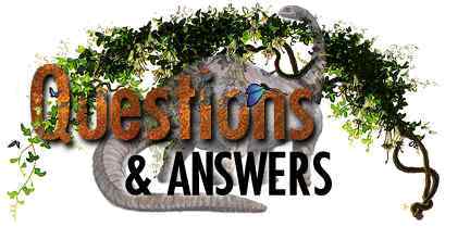 Dinosaur Questions and Answers