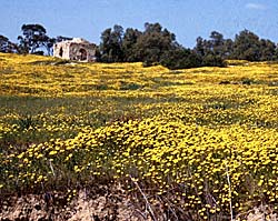 Copyright, BiblePlaces. All Rights Reserved.