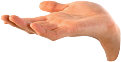 Hand. Photo copyrighted.