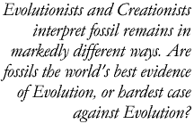 Origin of Humans—Introduction