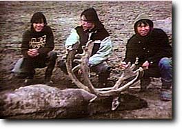 Over the fallen caribou