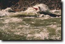 Choppy water stock photo.