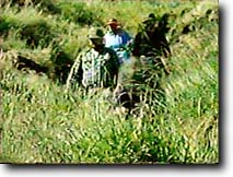 Hiking through the grass