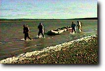 Tying the rafts together