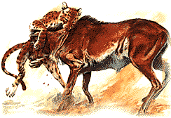 Fighting Animals. Copyrighted by Films for Christ.