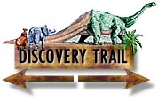 Continue on the Discovery Trail