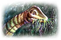 Sauropod type dinosaur. Copyrighted by Films for Christ.