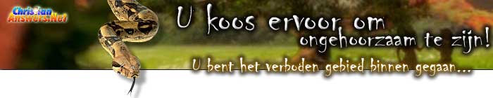 U koos ervoor om ongehoorzaam te zijn. U bent het verboden gebied binnen gegaan...