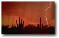 Lightning. Illustration copyrighted.