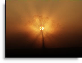 Photo copyrighted. All rights reserved.