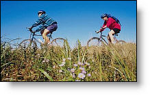 Bikes. Photo copyrighted.