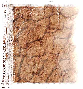 Parched Earth. Illustration copyrighted.