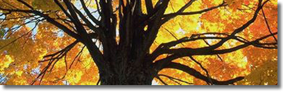 Copyrighted. Films for Christ.