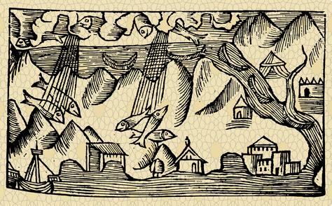 Raining fishes. Copyrighted.