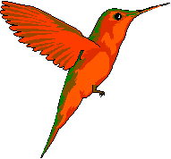 Hummingbird
