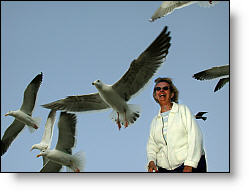 Photo copyrighted 2004, Paul S. Taylor.