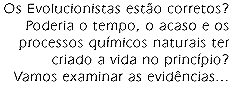 Origem da Vida - Introduo