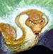 Serpente. Sob copyright.