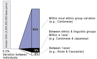 Variation in DNA between human individuals