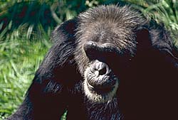 Fénykép szerzõi jog. Eden Kommunikációk szívessége.