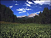 Green Mountainous Landscape. Photo copyrighted. Courtesy of Eden Communications.