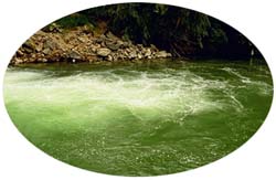 The River Jordan where Jesus was baptized