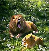 Photo copyrighted. All rights reserved.