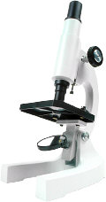 Microscope. Illustration copyrighted.