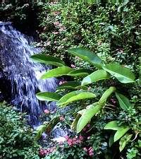 Photo copyrighted. All rights reserved.