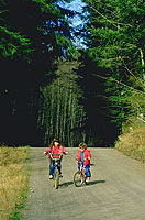 Photo copyrighted. Courtesy of Films for Christ.