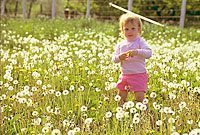 Photo copyrighted. Eden Communications.