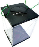 Voting Box. Illustration copyrighted.