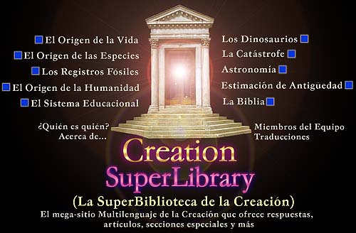 La SuperBiblioteca de la Creación