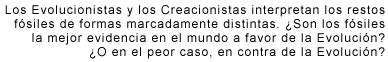 LOS REGISTROS FÓSILES