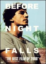 Cover art for “Before Night Falls”