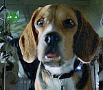 Copyright, Warner Bros. Pictures