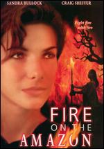 Fire on the Amazon