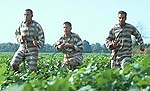 John Turturro, Tim Blake Nelson, and George Clooney in O Brother, Where Art Thou?