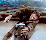 Copyright, Warner Bros. Pictures