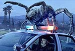 Scene from “Eight Legged Freaks”
