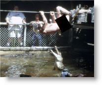 Copyright, Paramount Pictures