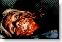 Copyright, Lions Gate Films