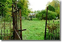 Copyright, Touchstone Pictures