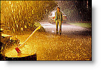 Copyright, Warner Bros.