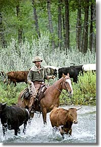 Copyright, Touchstone Pictures (Disney)