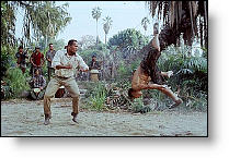 Copyright, Universal Pictures