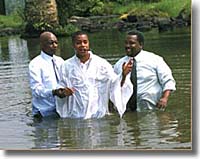 Copyright, Paramount 