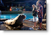 Copyright, Columbia Pictures