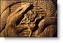 Copyright, Screen Gems