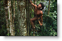 Copyright, Every Tribe Entertainment